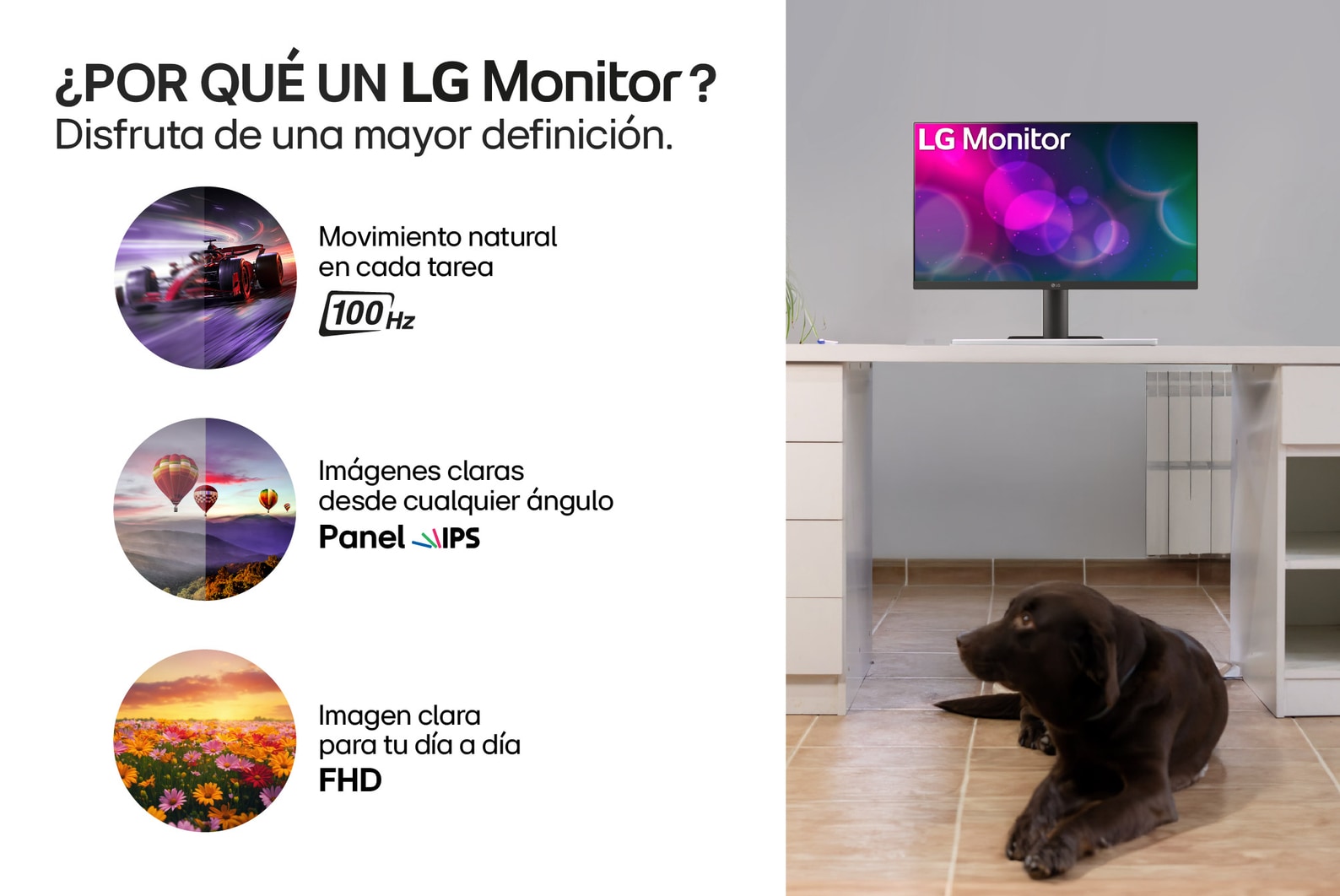 Por que un Monitor IPS Full HD de 24 pulgadas